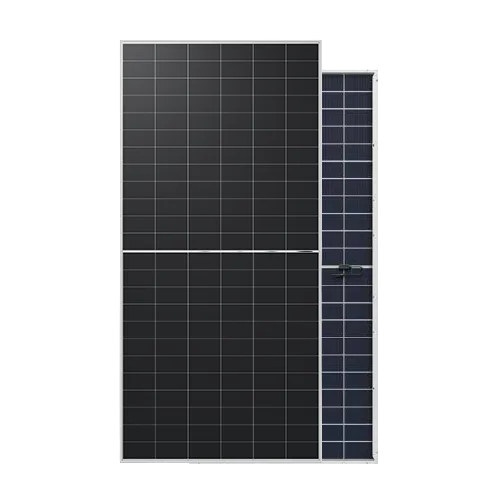 Panel Solar Longi 650W Hi-Mo X10 Scientist Bifacial