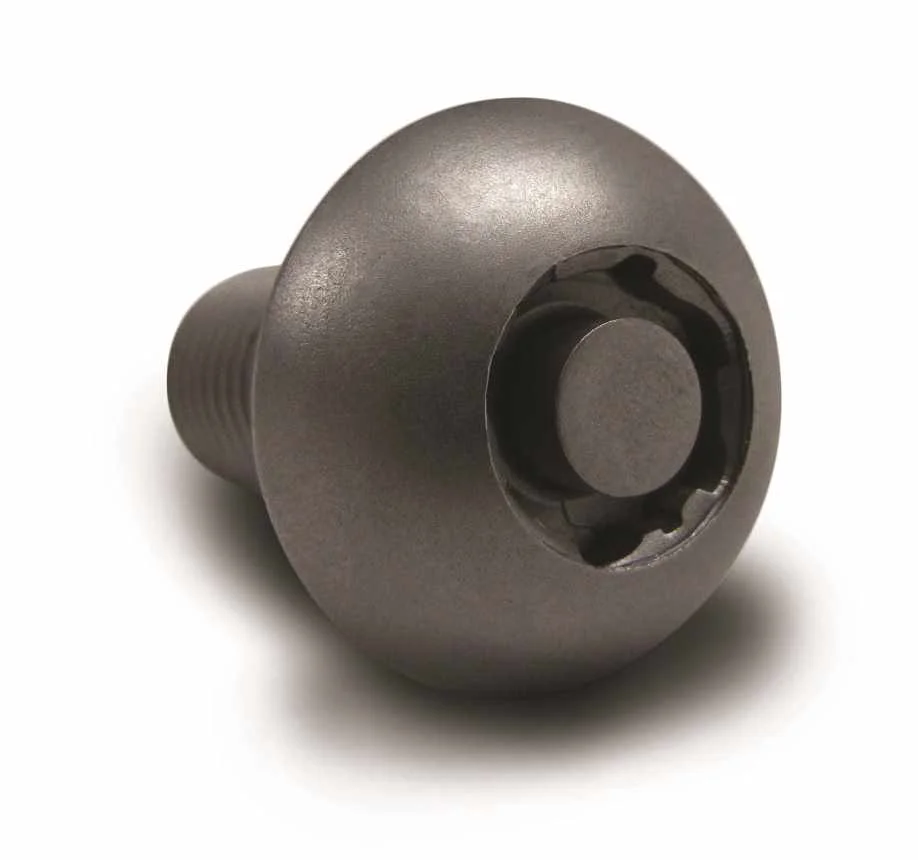 Tornillo de seguridad Anti Robo